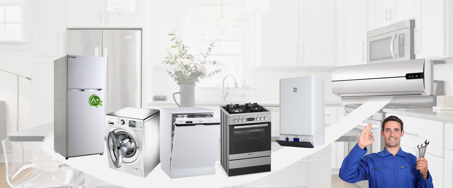 Kaklıç Electrolux Servisi